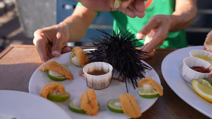 Golden URCHIN YOLK serving