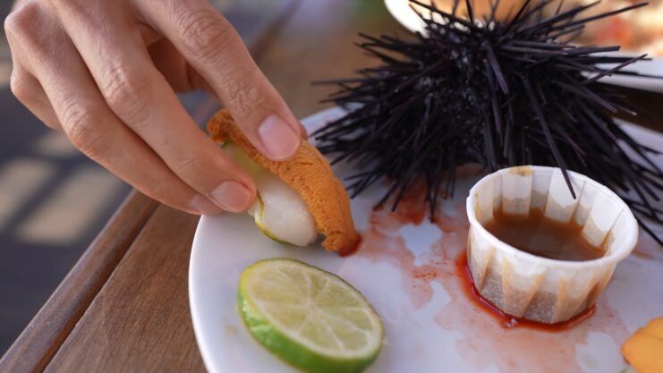 Sea Urchins taste