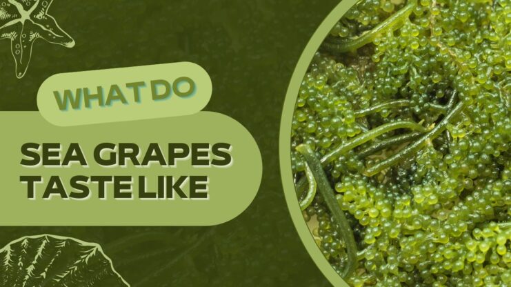 Unique Flavor Of Sea Grapes