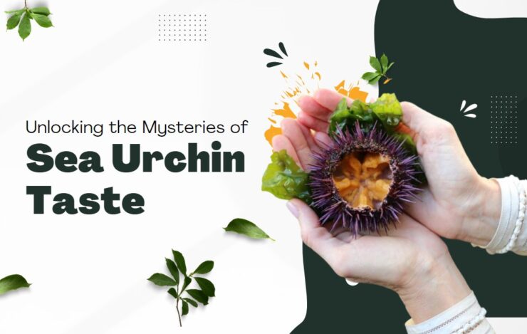 Unlocking the Mysteries of Sea Urchin Taste