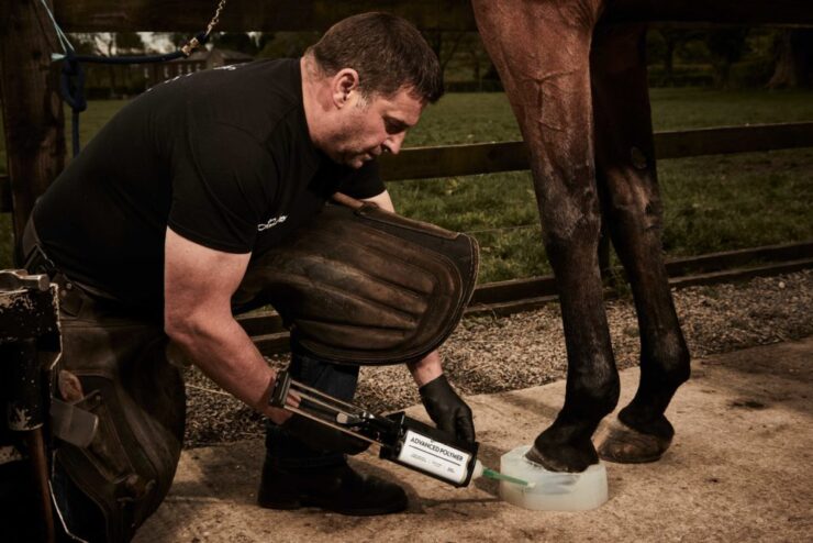 What Are Horse Hooves Made Of Unveiling The Equine Foundation Icran