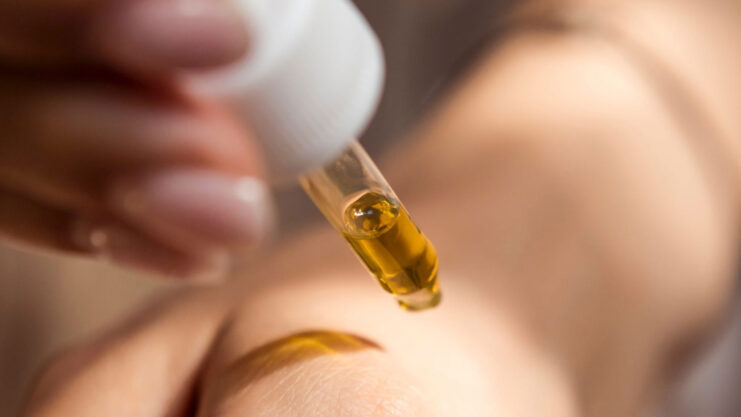 The Future of CBD Oil in Health and Wellness