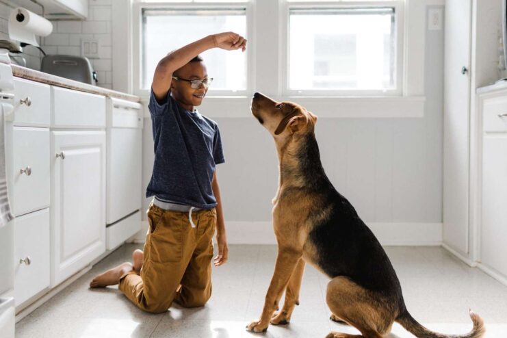 Training Your Dog to Sit