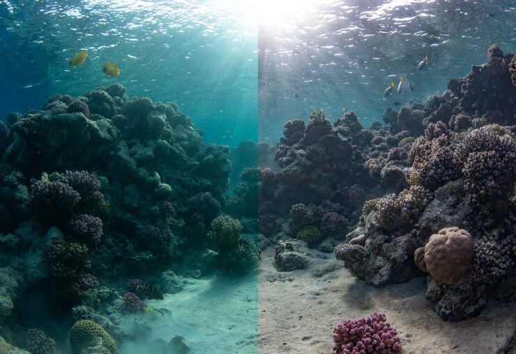 Role of Editing and Post-Processing underwater photos