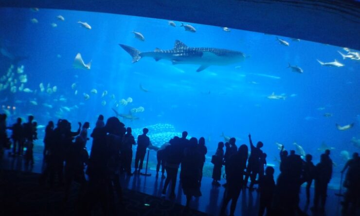 World's largest aquariums 2024